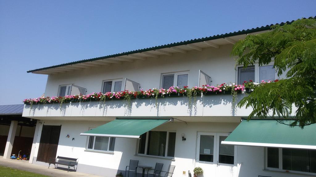 Pension Joseph Haydn Podersdorf am See Bilik gambar